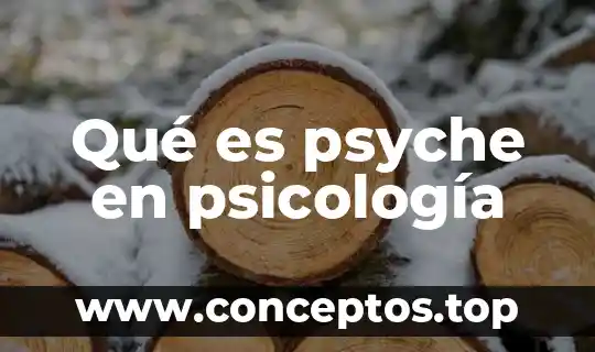 Según la psicología qué es máscara 6 Qué es psyche en psicología