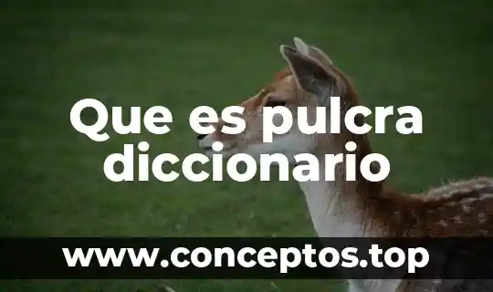 Diccionario que es concuerdo 5 Que es pulcra diccionario