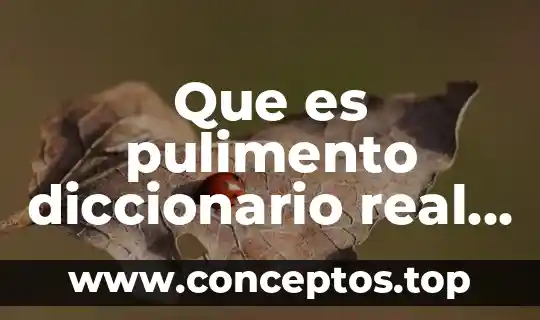 Que es pulimento diccionario real academia española