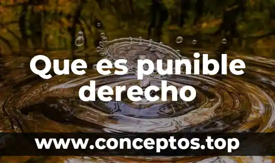Que es punible derecho