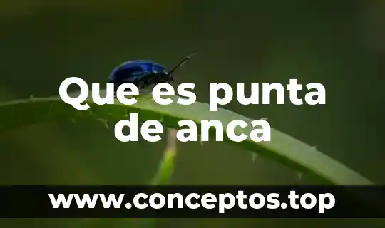 Que es punta de anca
