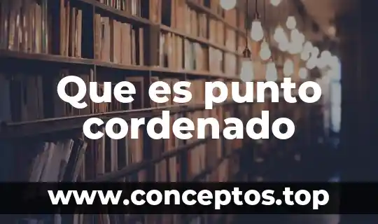 Que es punto cordenado