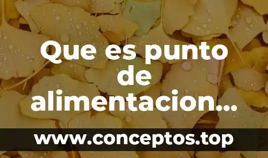 Que es la alimentación articulos 2013 8 Que es punto de alimentacion de una acometida
