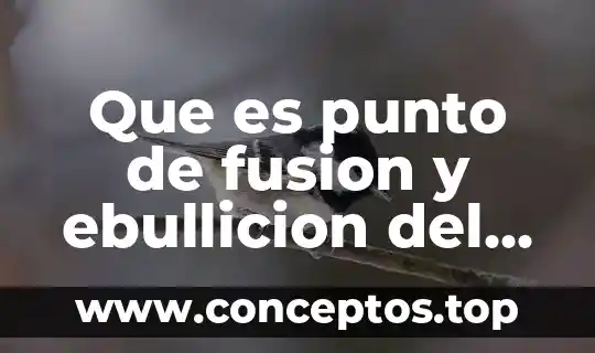 Que es la propiedad de punto de ebullicion 3 Que es punto de fusion y ebullicion del agua