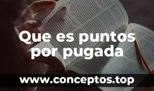 Que es puntos por pugada