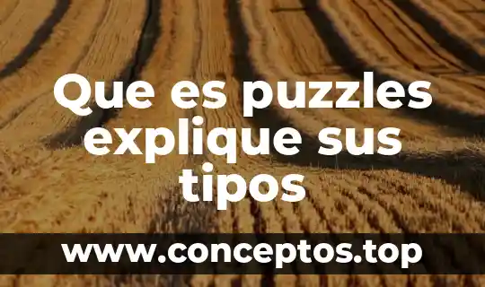 Que es puzzles explique sus tipos
