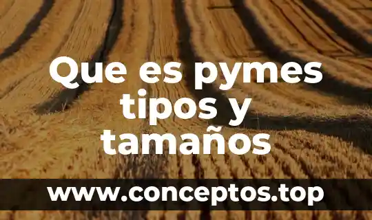 Que es pymes tipos y tamaños