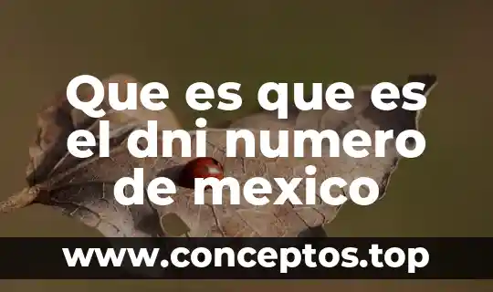Que es que es el dni numero de mexico