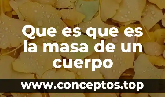 Que es que es la masa de un cuerpo