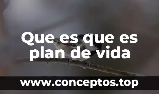 Que es que es plan de vida