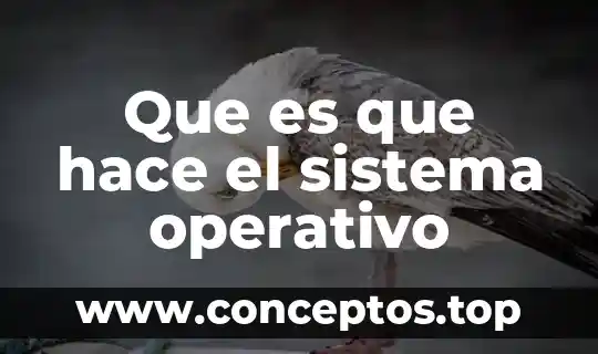 Que es que hace el sistema operativo