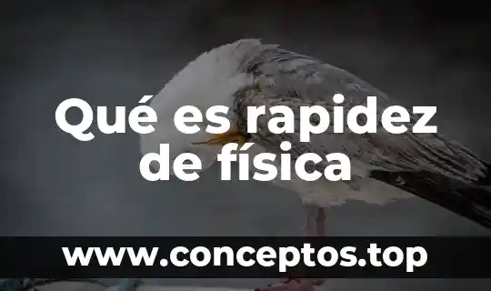Qué es rapidez de física