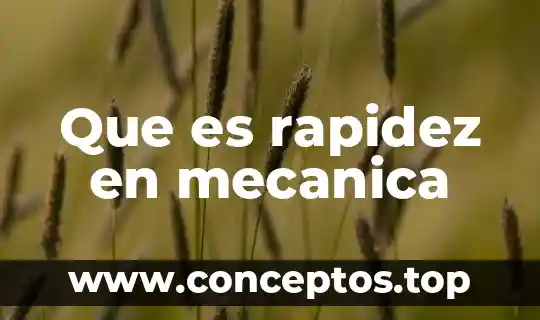 Que es rapidez en mecanica