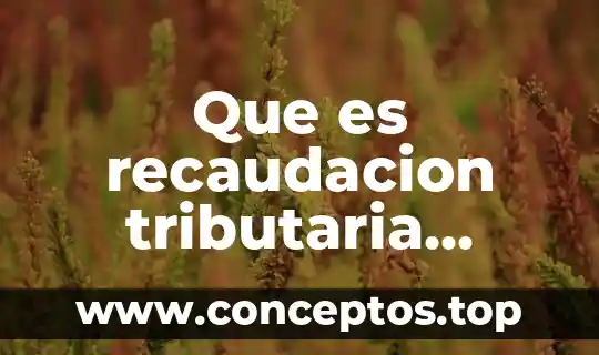 Que es recaudacion tributaria segun autores