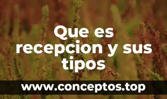 Que es recepcion y sus tipos
