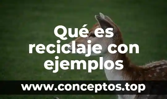 Qué es una sucesión figurativa ejemplos 5 Qué es reciclaje con ejemplos