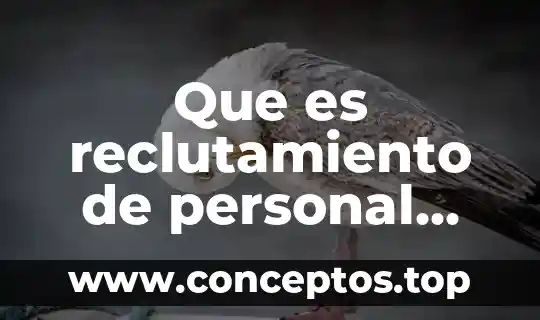 Que es reclutamiento de personal con bibliografia