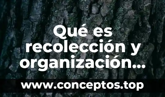 Qué es recolección y organización de datos