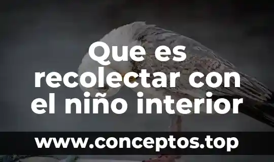 Que es recolectar con el niño interior