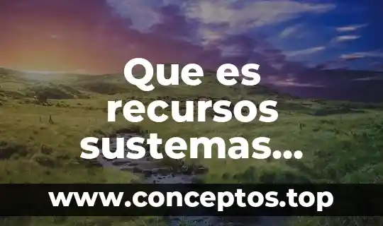 Por que es importante tener informacion dentro de una empresa 8 Que es recursos sustemas dentro de una empresa