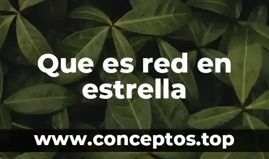Que es red en estrella