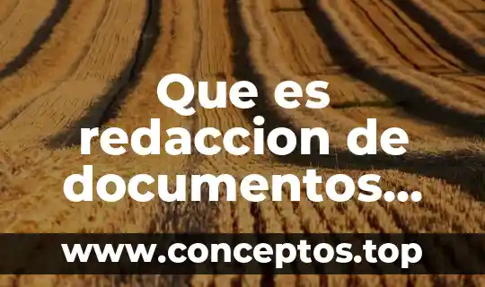Que es redaccion de documentos educativos
