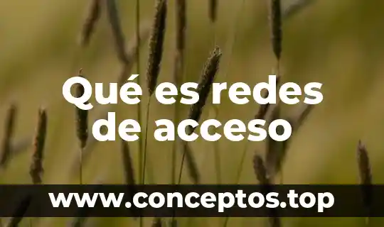 Qué es redes de acceso