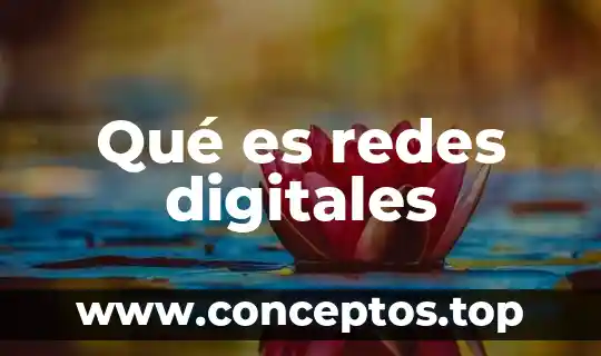Qué es redes digitales