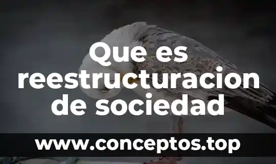 Que es una sociedad con clausula de exclusion de extranjeros 4 Que es reestructuracion de sociedad