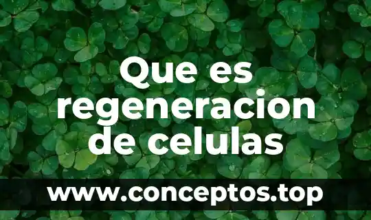 Shampein que es el proceso de regeneracion administrativa 3 Que es regeneracion de celulas