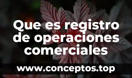 Modelos de contratos comerciales que es 5 Que es registro de operaciones comerciales