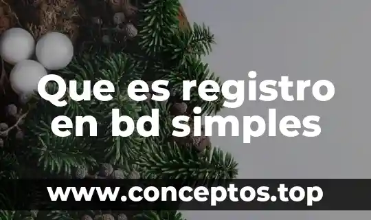 Que es registro en bd simples