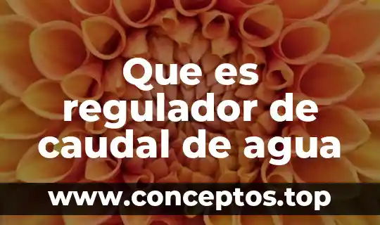 Que es regulador de caudal de agua