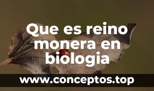 Que es reino monera en biologia