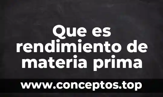 Que es el principio de provida en materia de amparo 4 Que es rendimiento de materia prima