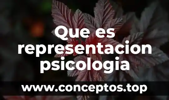 Que es representacion psicologia