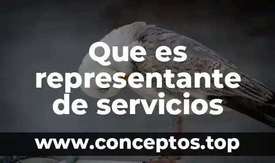 Que es representante de servicios