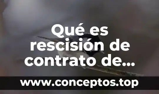 Qué es rescisión de contrato de trabajo