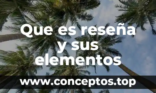 Que es reseña y sus elementos