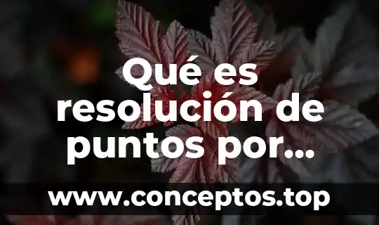 Qué es resolución de puntos por pulgada