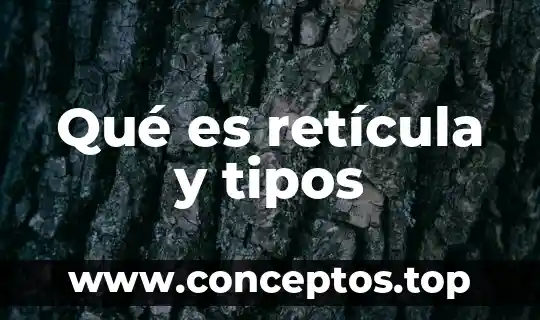 Qué es retícula y tipos