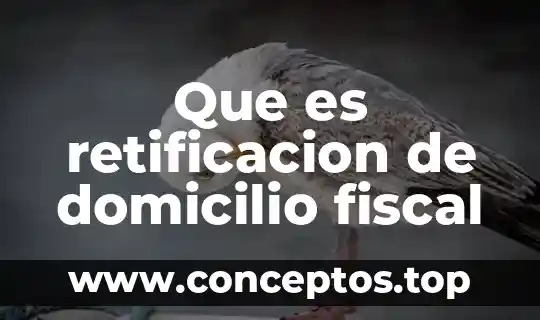 Que es nombre fiscal 3 Que es retificacion de domicilio fiscal