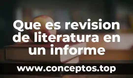 Que es revision de literatura en un informe
