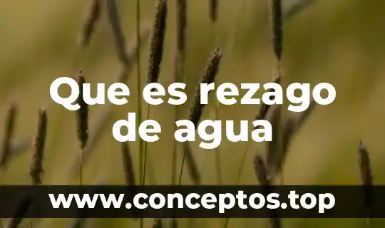 Que es rezago de agua