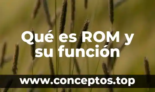 Que es una figura de autoridad y que funcion tiene 3 Qué es ROM y su función