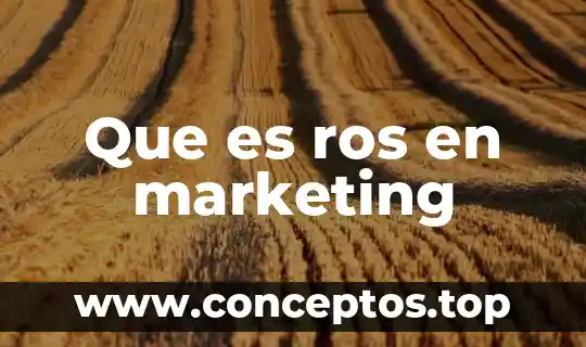 Que es ros en marketing