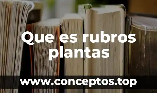 Que es rubros plantas