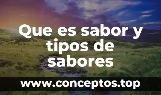 Que es sabor y tipos de sabores