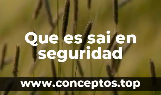 Qué es el sai en la salud 4 Que es sai en seguridad