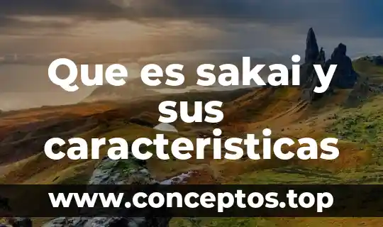 Etapa de organización significado características y que es 6 Que es sakai y sus caracteristicas